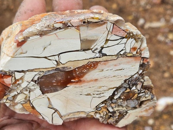 Polished Brecciated Mookaite  BM347
