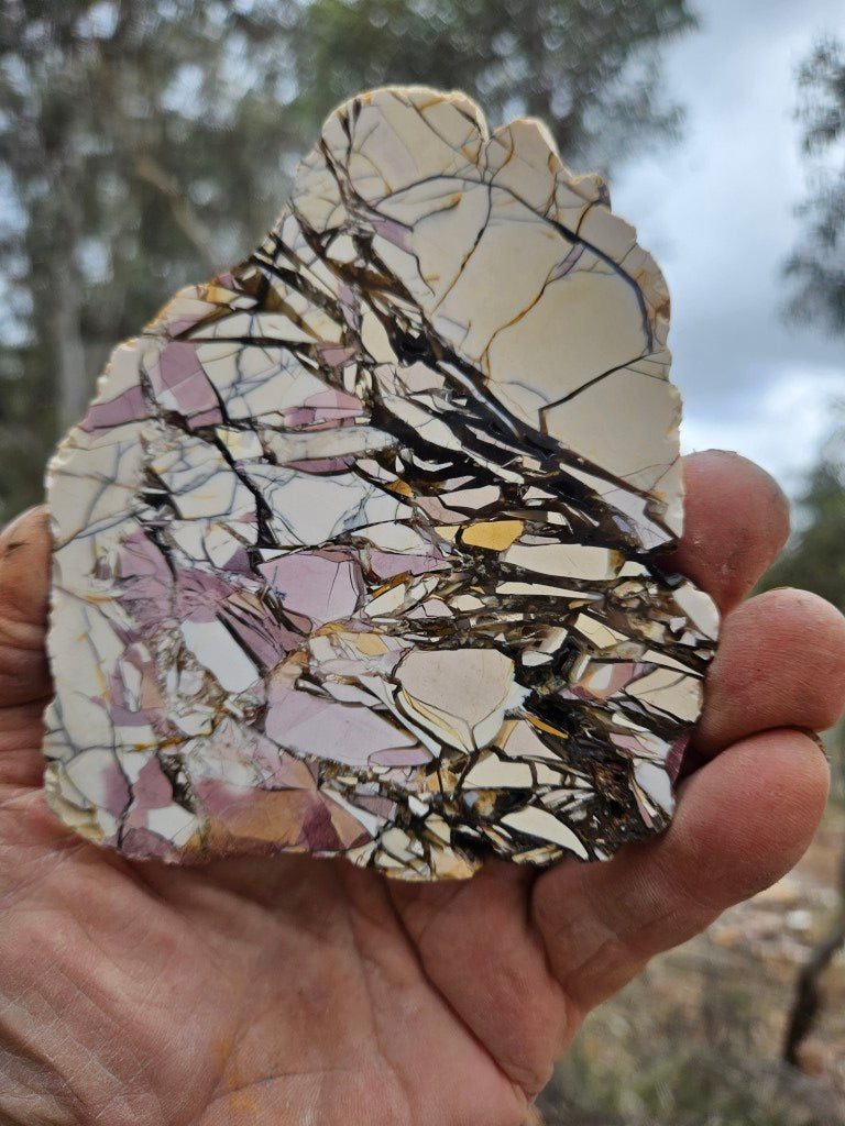 Polished Brecciated Mookaite slab BM350