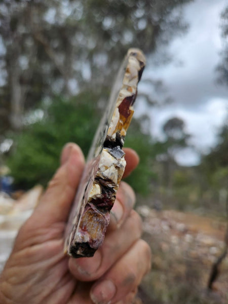 Polished Brecciated Mookaite slab BM350