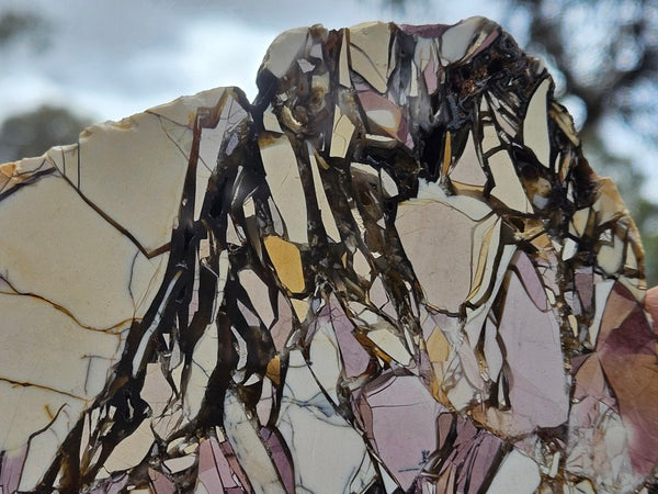 Polished Brecciated Mookaite slab BM350