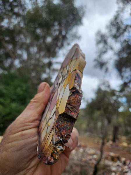 Polished Brecciated Mookaite slab BM351