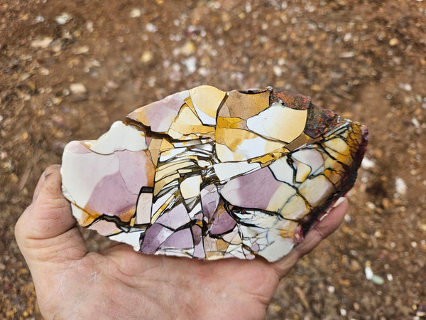Polished Brecciated Mookaite slab BM351