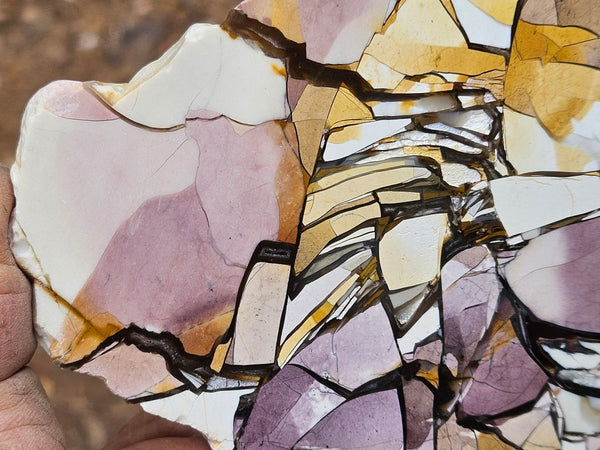 Polished Brecciated Mookaite slab BM351