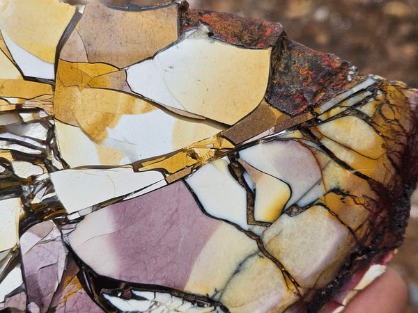 Polished Brecciated Mookaite slab BM351