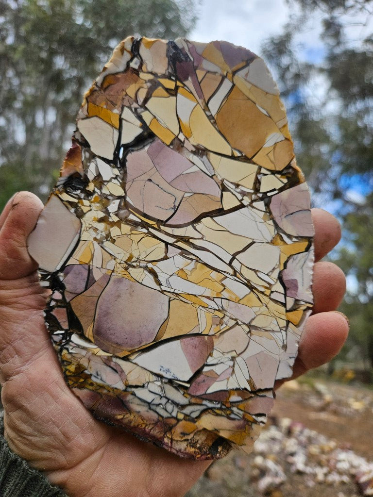 Polished Brecciated Mookaite slab BM349