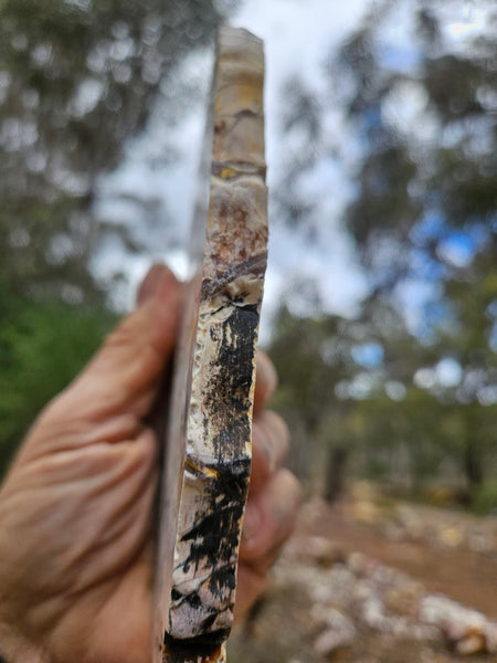 Polished Brecciated Mookaite slab BM349