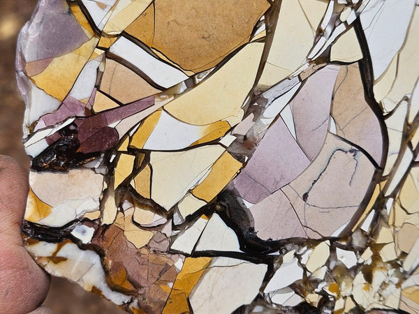 Polished Brecciated Mookaite slab BM349