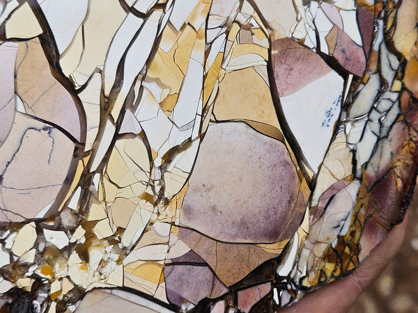 Polished Brecciated Mookaite slab BM349