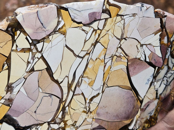Polished Brecciated Mookaite slab BM349