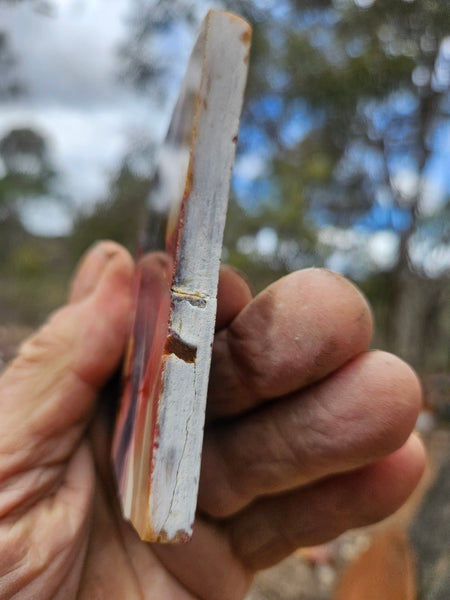 Polished  Mookaite slab MK611