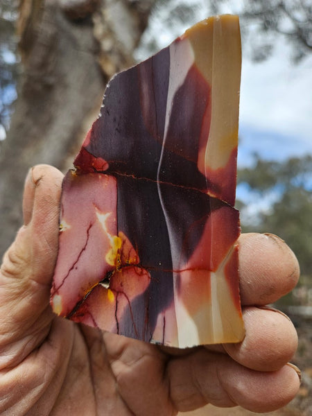 Polished  Mookaite slab MK611