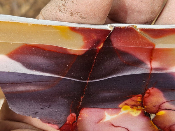 Polished  Mookaite slab MK611