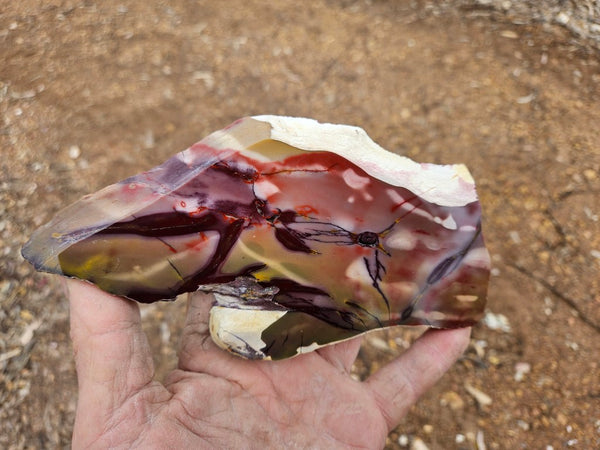 Polished  Mookaite slab MK613