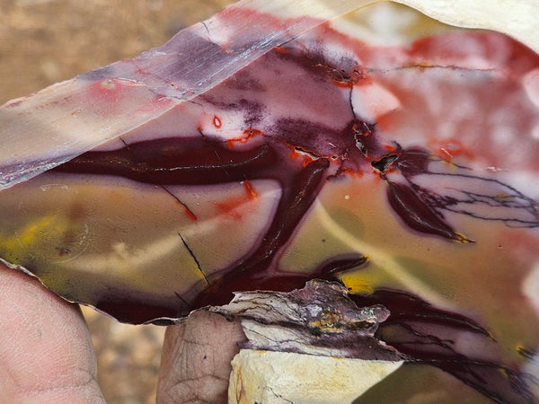 Polished  Mookaite slab MK613