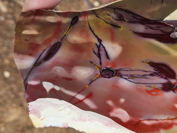 Polished  Mookaite slab MK613