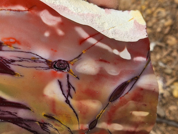 Polished  Mookaite slab MK613