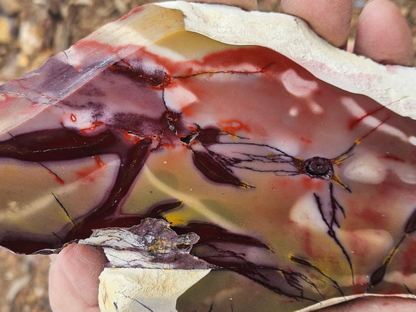 Polished  Mookaite slab MK613