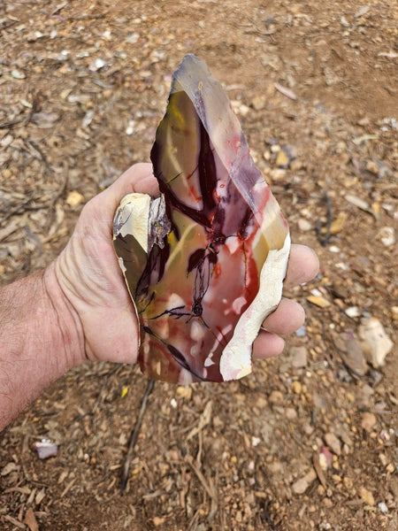 Polished  Mookaite slab MK613