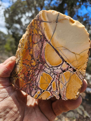 Polished Brecciated Mookaite  BM348