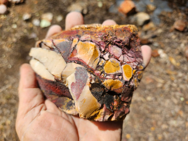 Polished Brecciated Mookaite  BM348