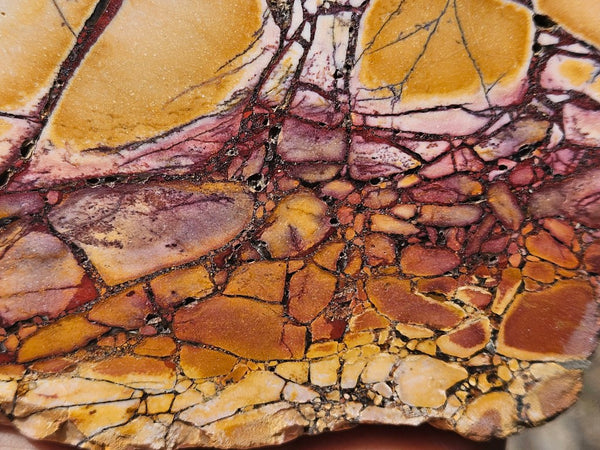 Polished Brecciated Mookaite  BM348