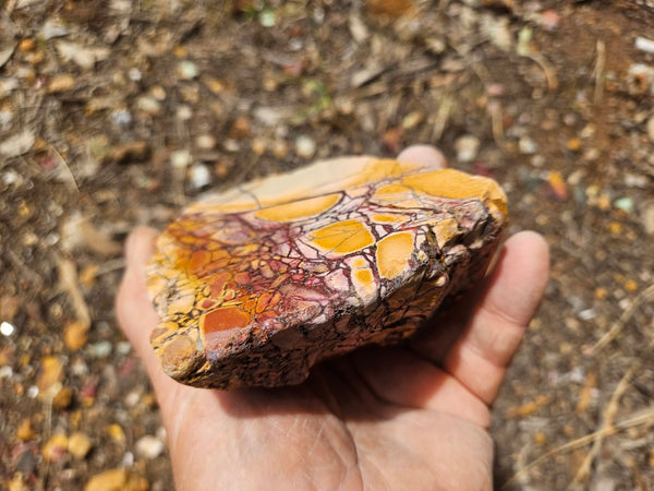 Polished Brecciated Mookaite  BM348