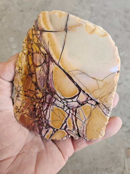 Polished Brecciated Mookaite  BM348