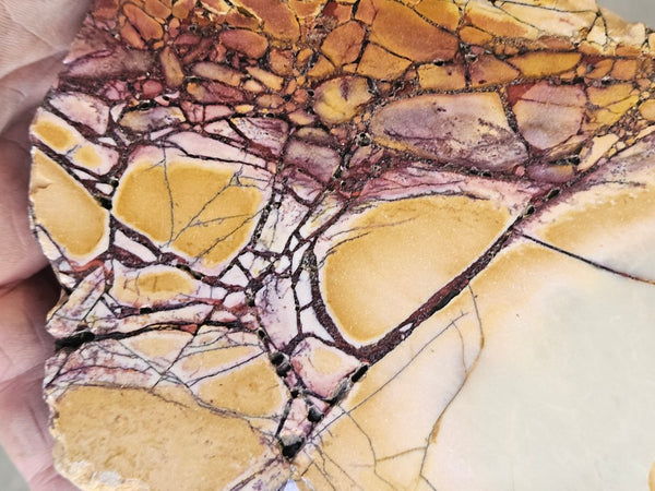 Polished Brecciated Mookaite  BM348