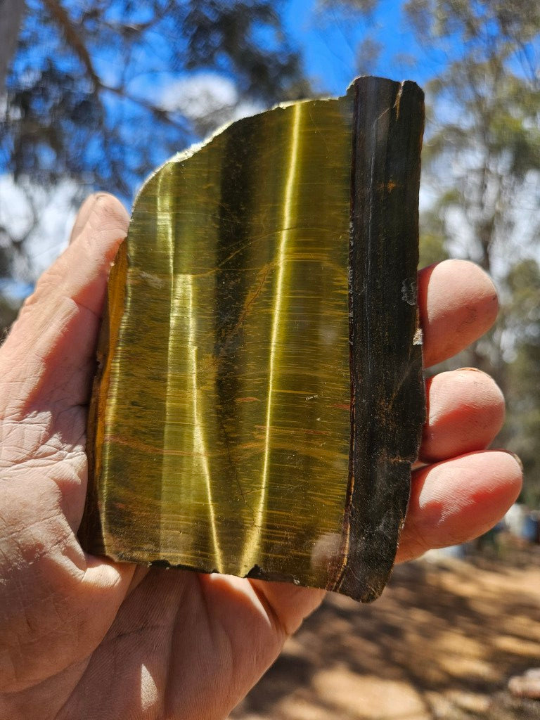 Polished Tiger Eye slab TE503