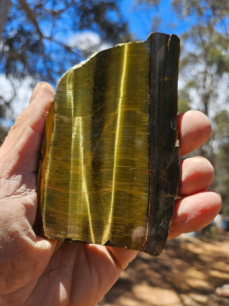 Polished Tiger Eye slab TE503