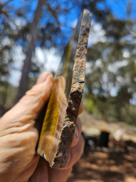 Polished Tiger Eye slab TE503