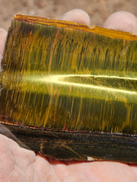 Polished Tiger Eye slab TE503