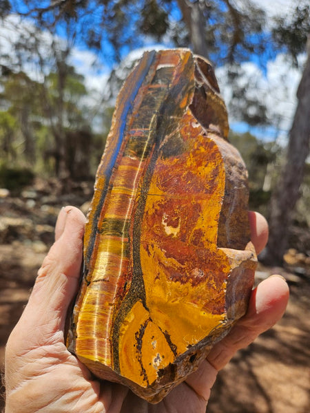 Polished Tiger Eye  TE506