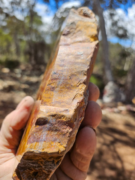 Polished Tiger Eye  TE506