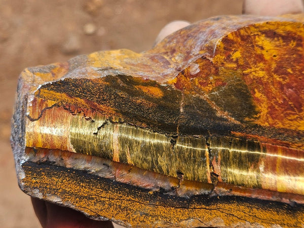 Polished Tiger Eye  TE506