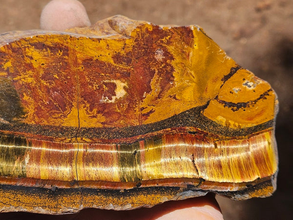 Polished Tiger Eye  TE506