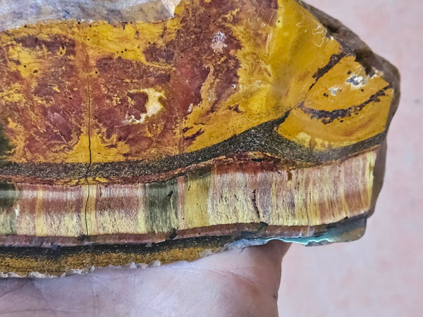Polished Tiger Eye  TE506