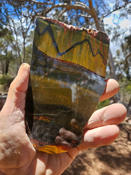 Polished Tiger Eye slab TE504