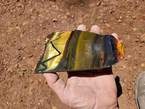 Polished Tiger Eye slab TE504