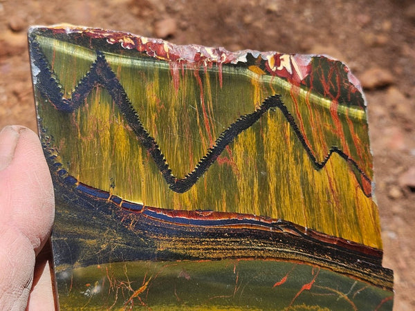 Polished Tiger Eye slab TE504