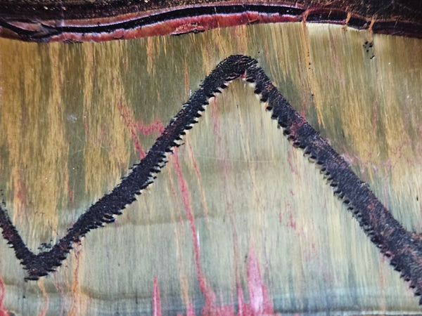 Polished Tiger Eye slab TE504