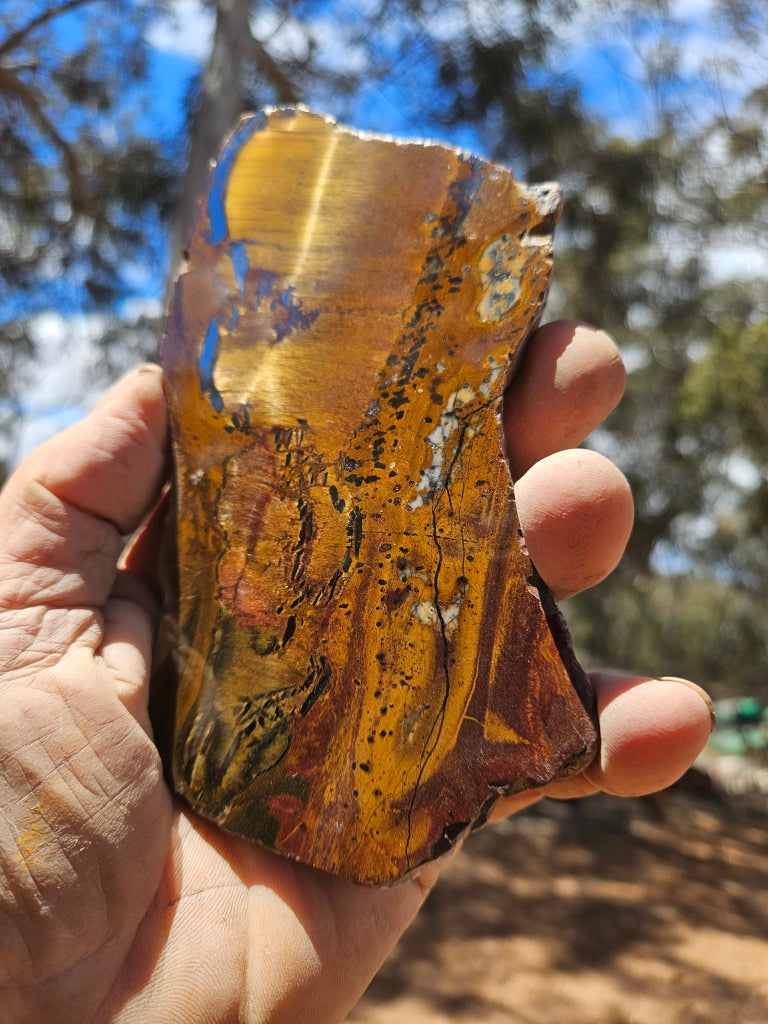 Polished Tiger Eye slab TE505