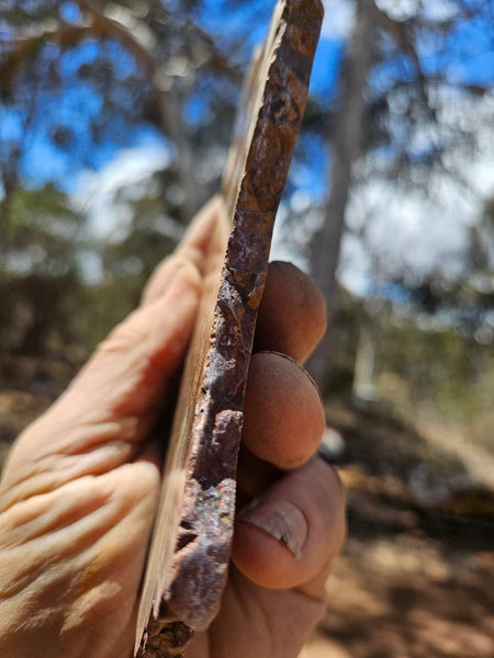 Polished Tiger Eye slab TE505