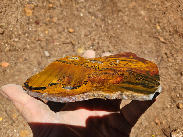 Polished Tiger Eye slab TE505