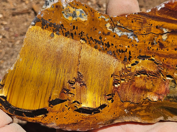 Polished Tiger Eye slab TE505