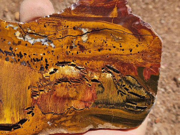 Polished Tiger Eye slab TE505