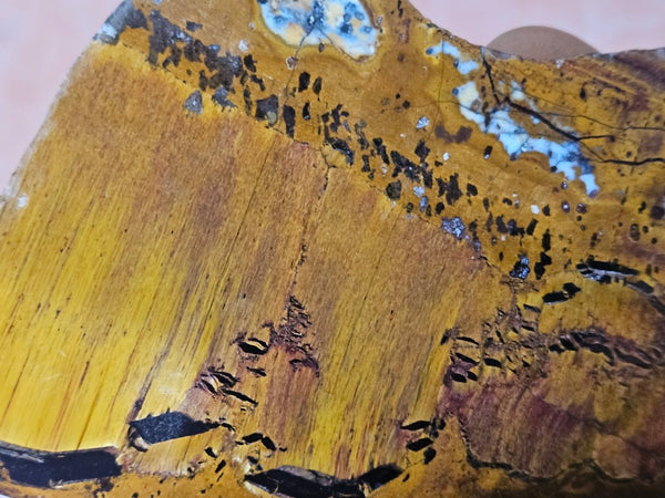 Polished Tiger Eye slab TE505
