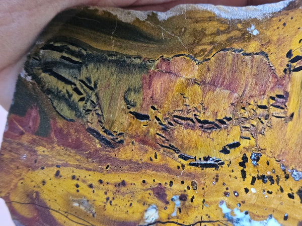 Polished Tiger Eye slab TE505