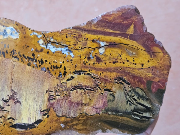 Polished Tiger Eye slab TE505