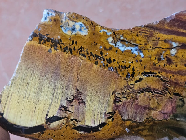 Polished Tiger Eye slab TE505